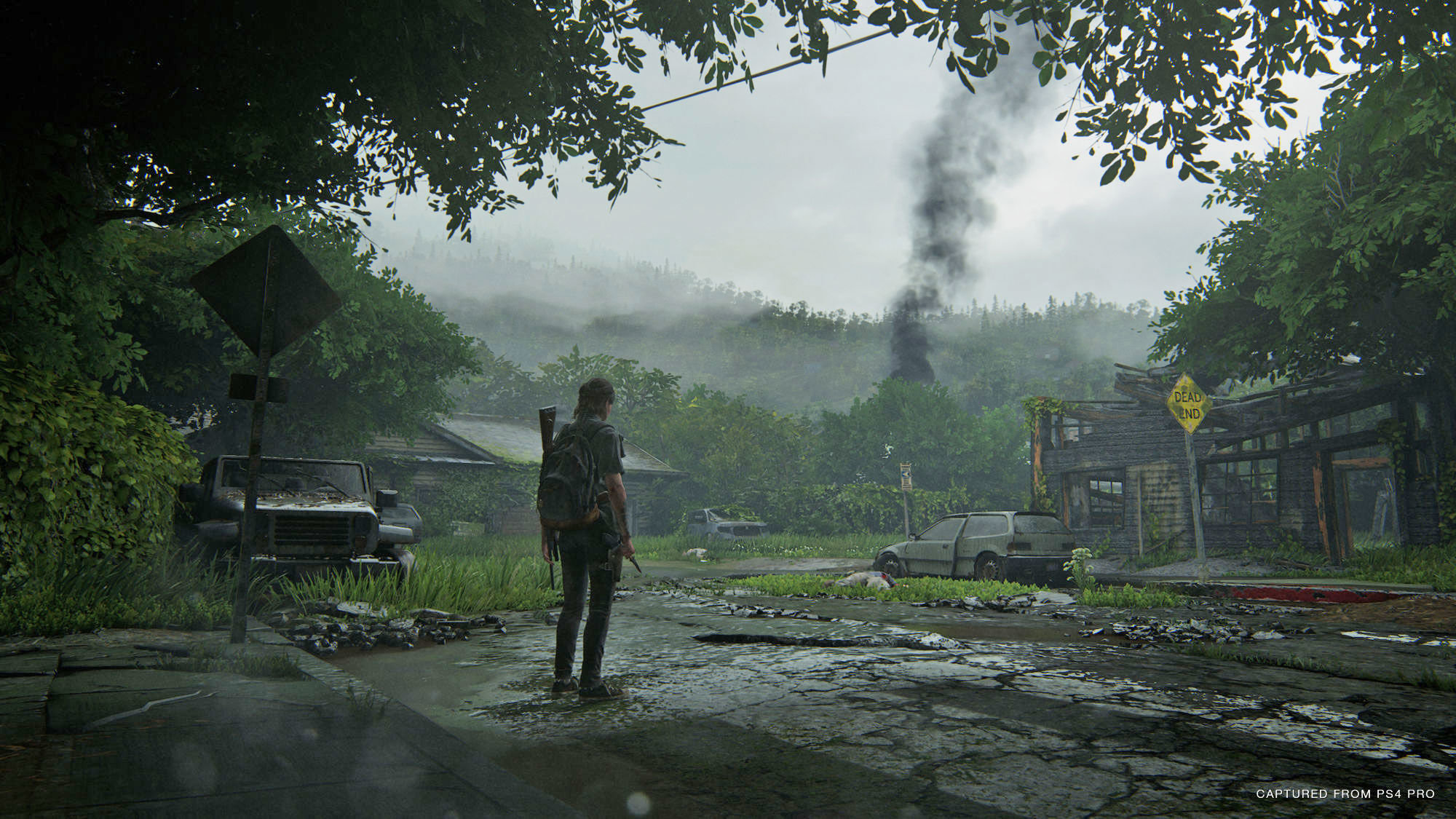 The Last of Us Part 2 delayed to May 2020 - Polygon